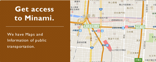 Get access to Minami.