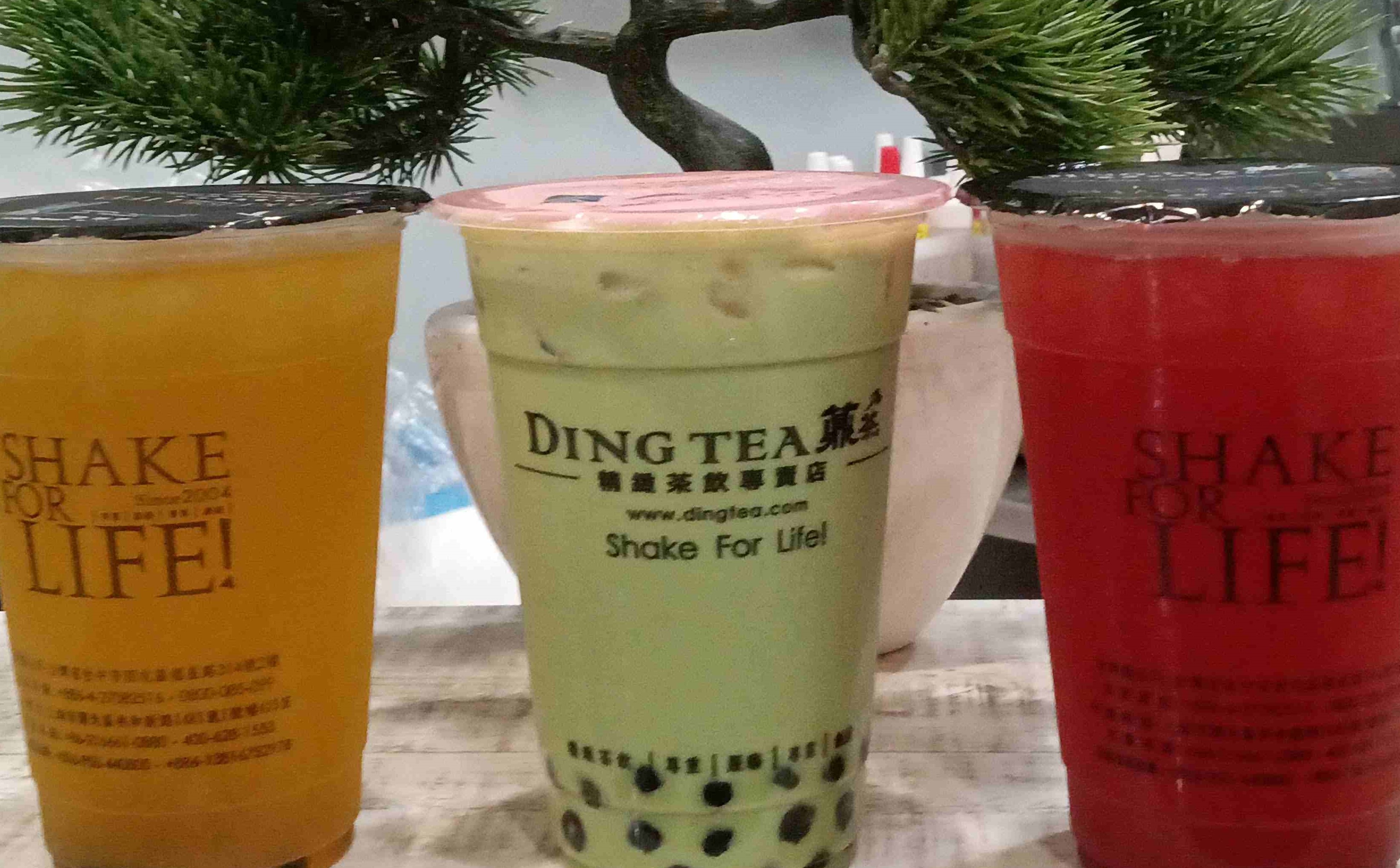 タピオカ専門店　DING TEA